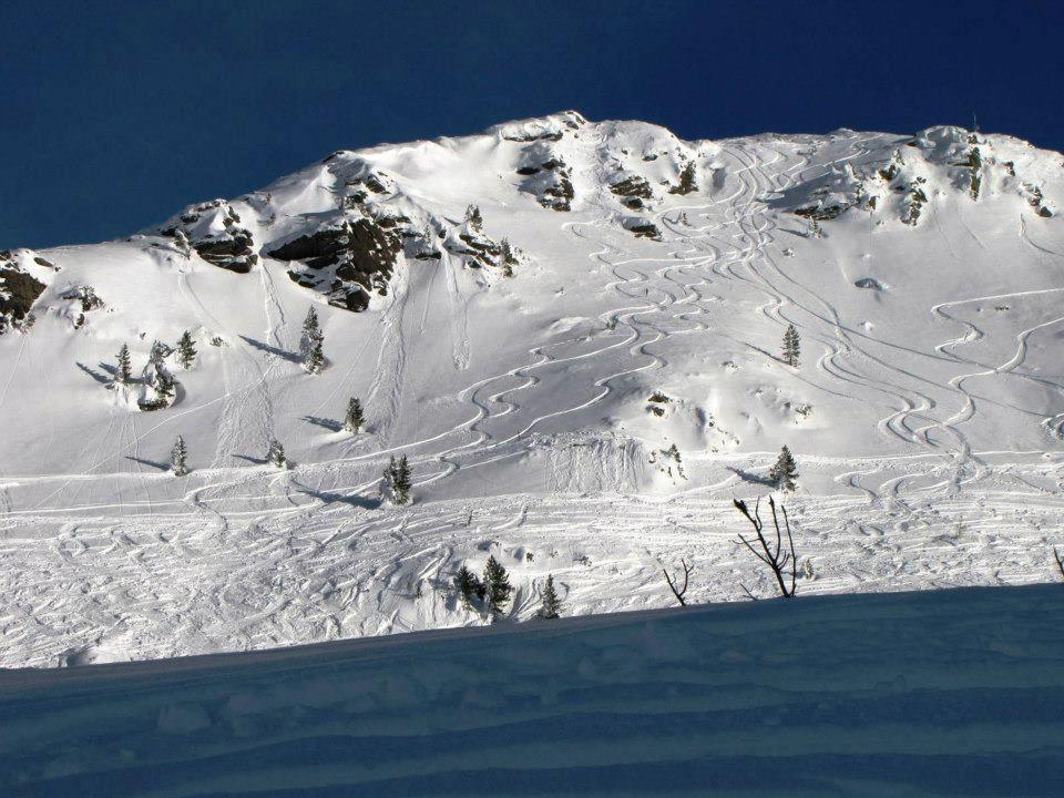 Landgut Hotel Plannerhof Planneralm 外观 照片